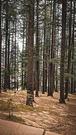Photograph Poetry