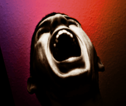 The Reclaimed Stolen Scream Collection