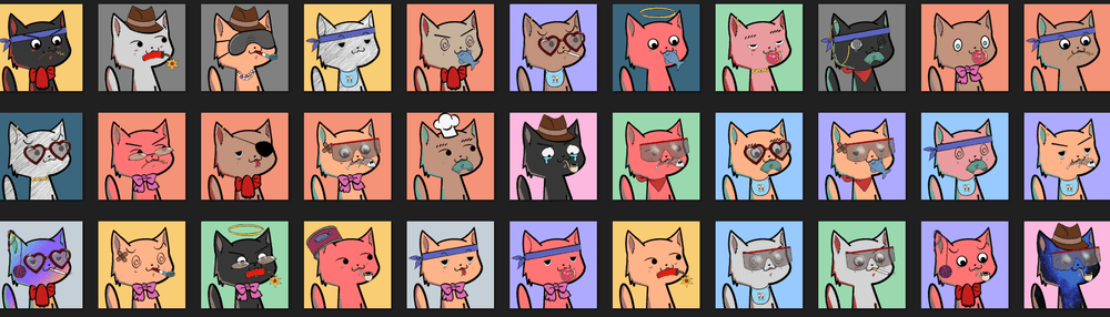 Degenerate Meow Gang