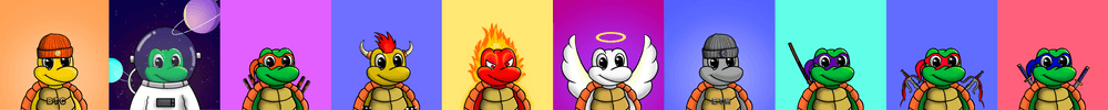TurtleClub