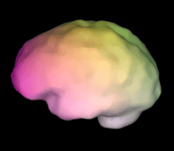 Spectral Brains