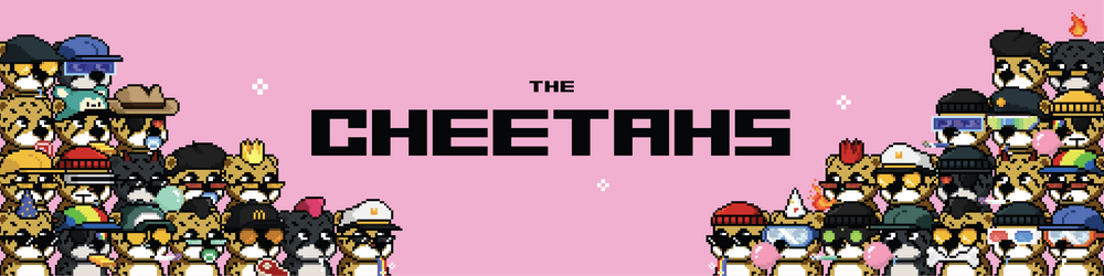 The Cheetahs