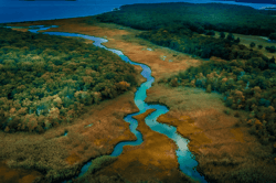 Hamptons Drone Art