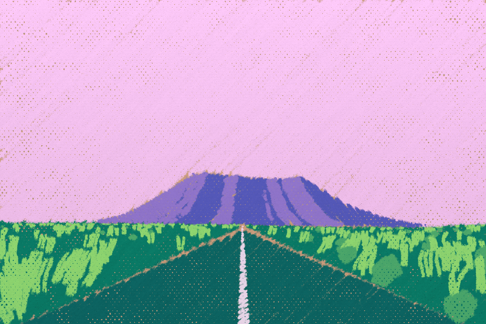 Arcadia #240