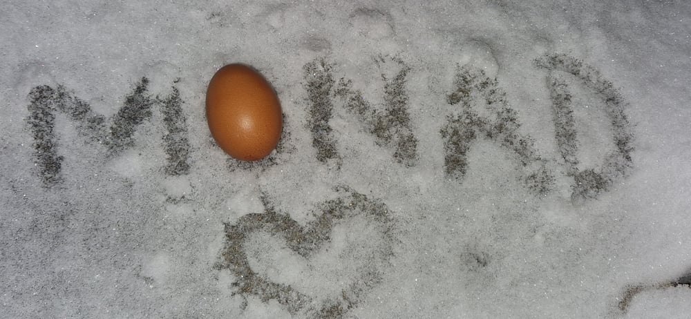 Monad Egg Day 12.02.2023