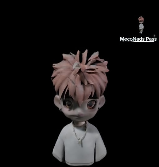 MecoNadsPasss #301