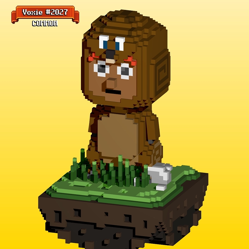 Token Image