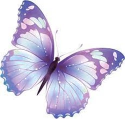 buterfly logo